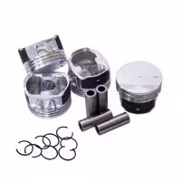 پیستون و گژن پین و خار کاپلان پلاس مدل EF7 0 50 مناسب برای سمند EF7 مجموعه 16 عددی