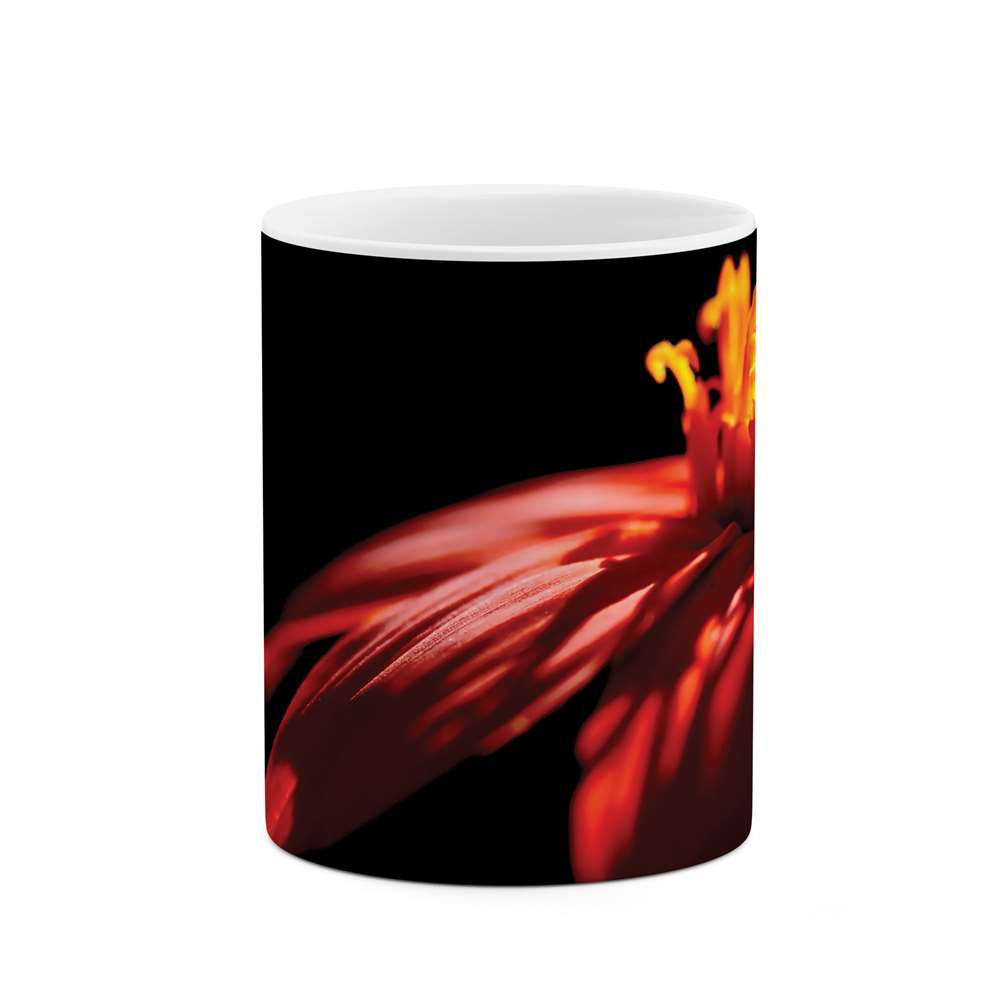 ماگ طرح گل مدل mgs07348