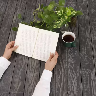 کتاب معبد مغزهای سرخ اثر جوسلین پار انتشارات کتاب کوچه