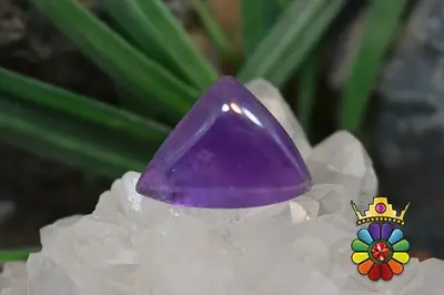 امتیست دامله(کاپوشی)