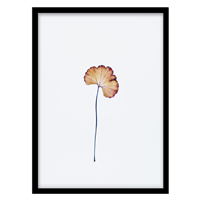 قیمت و خرید تابلو دکوراتیو مدل عکاسی مینیمال کد 0265