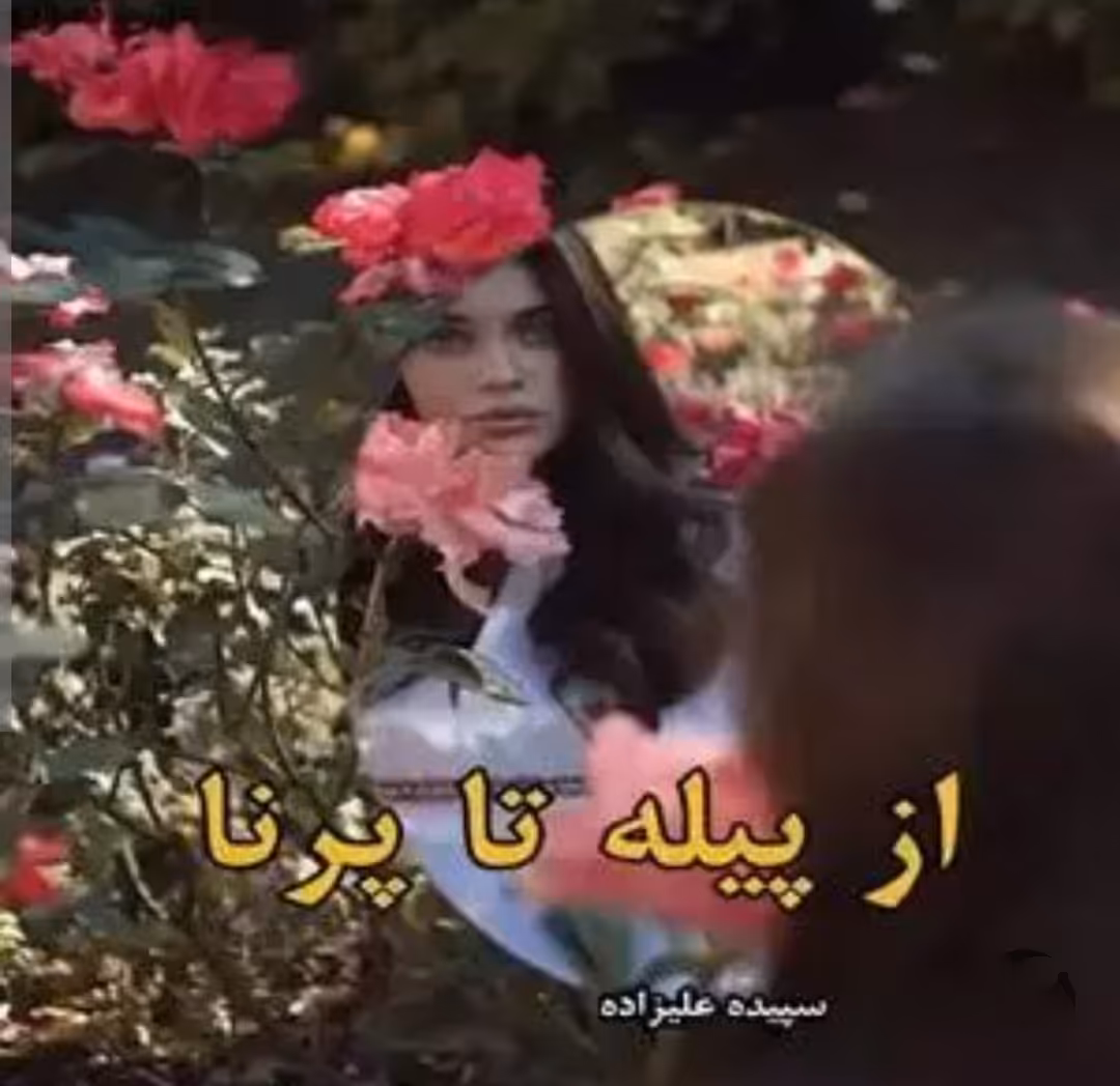 PDF نسخه کامل رمان از پیله تا پرنا از سپیده علیزاده در ژانر عاشقانه در 1598 صفحه با کیفیت عالی