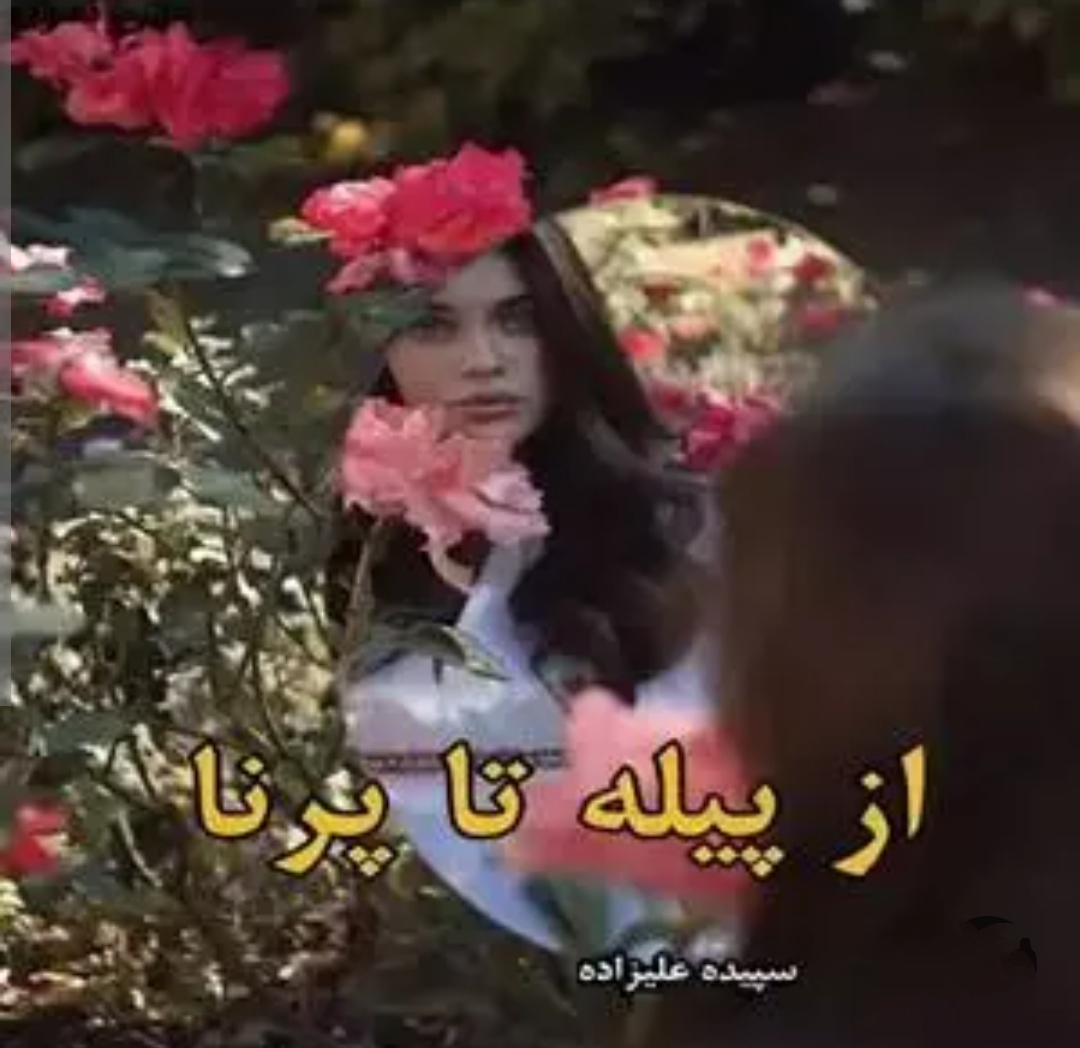 PDF نسخه کامل رمان از پیله تا پرنا از سپیده علیزاده در ژانر عاشقانه در 1598 صفحه با کیفیت عالی
