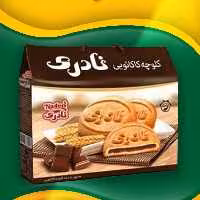 کلوچه کلاسیک کاکائویی نادری 20تایی(10جفت)
