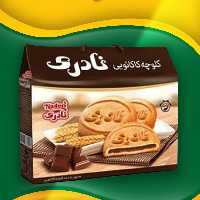 کلوچه کلاسیک کاکائویی نادری 20تایی(10جفت)