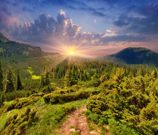 خرید و دانلود عکس Nature-Part-16 کد 35627 | پیک فاکس | Pic Fox