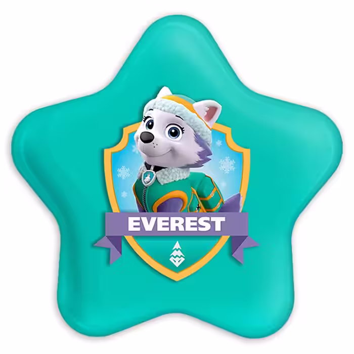 پیکسل خندالو طرح اورست سگ های نگهبان Paw Patrol مدل ستاره ای کد 4709