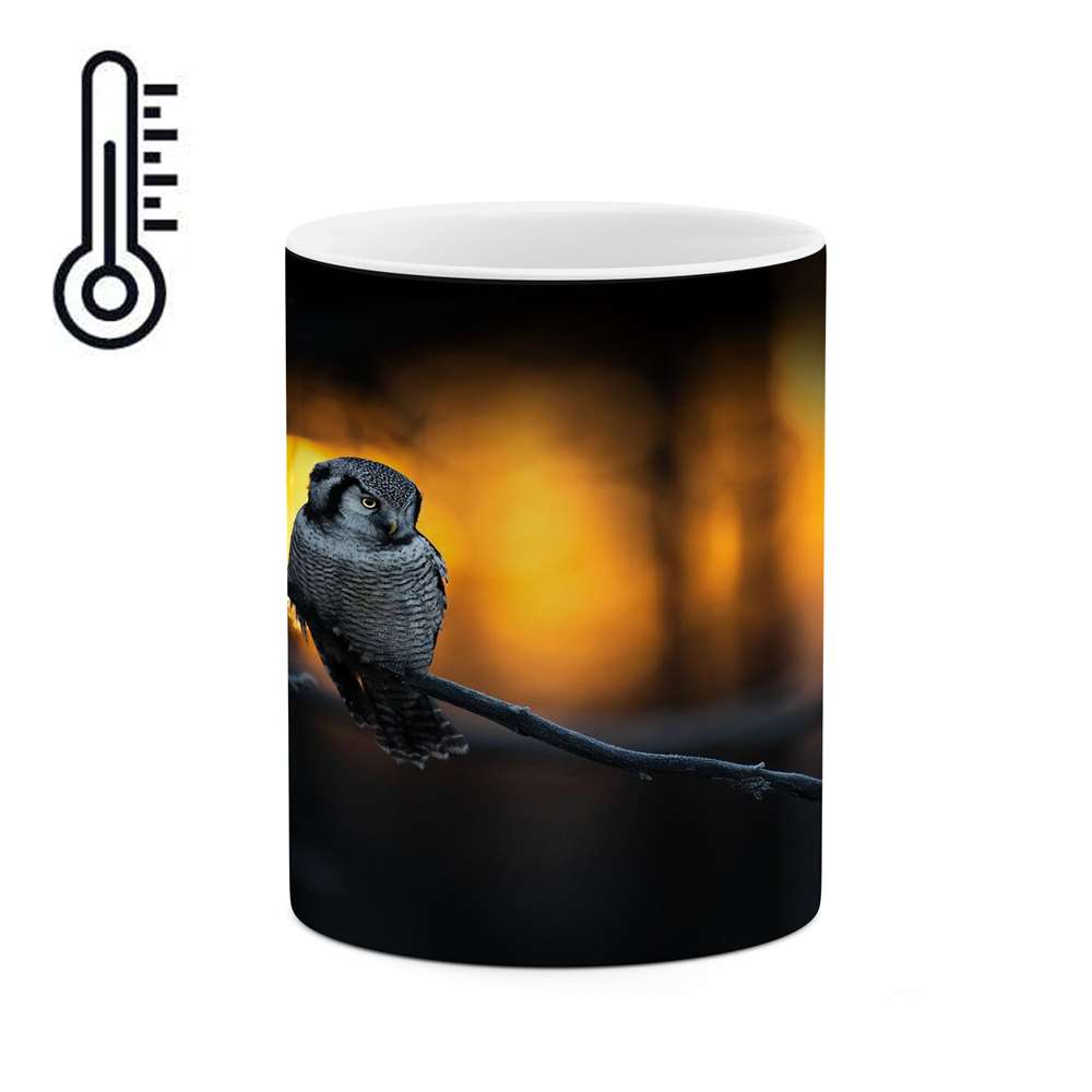 ماگ حرارتی کاکتی طرح فانتزی مدل mgh15811