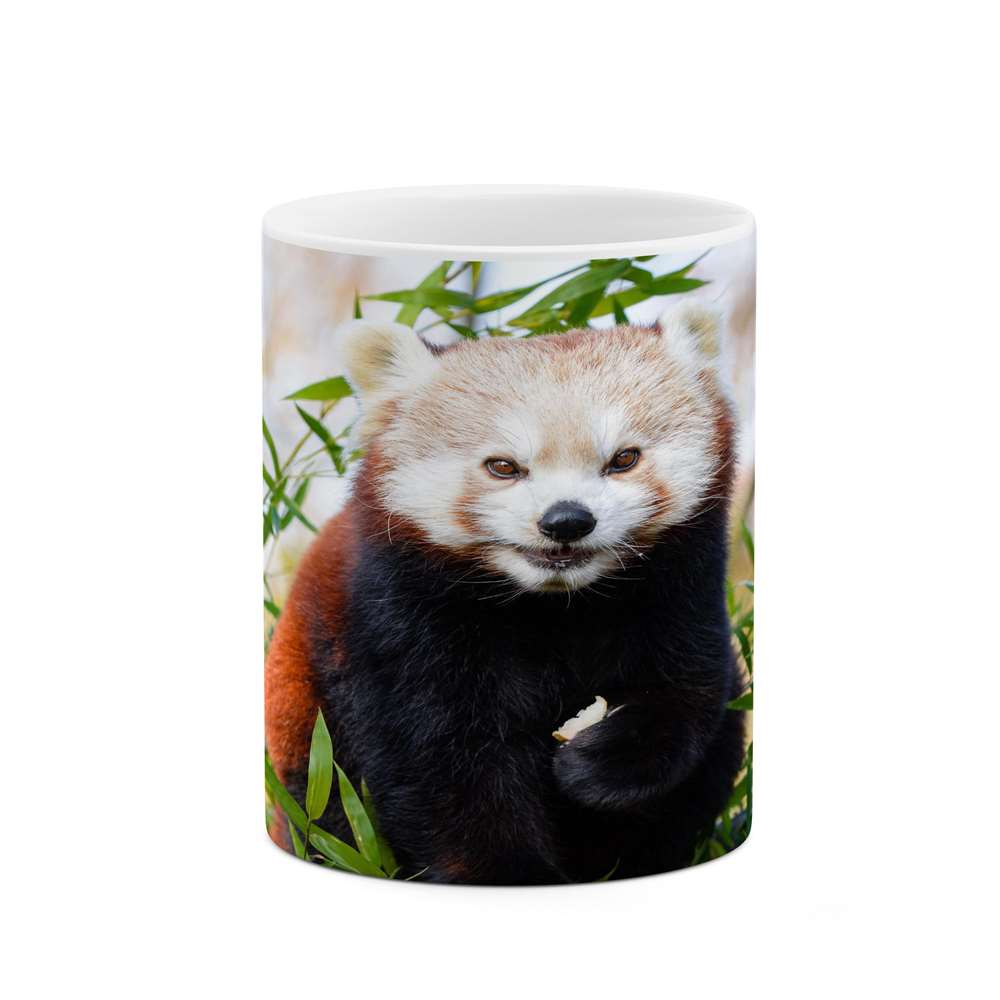 ماگ کاکتی طرح پاندا مدل mgs16313