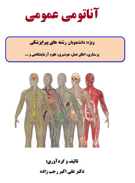 PDF جزوه آناتومی عمومی  دکتر رجب زاده ویژه دانشجویان رشته پیراپزشکی ،.پرستاری  ،اتاق عمل و...