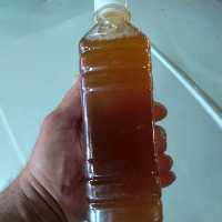 کومپوچا نیم لیتری اصل مطمئن