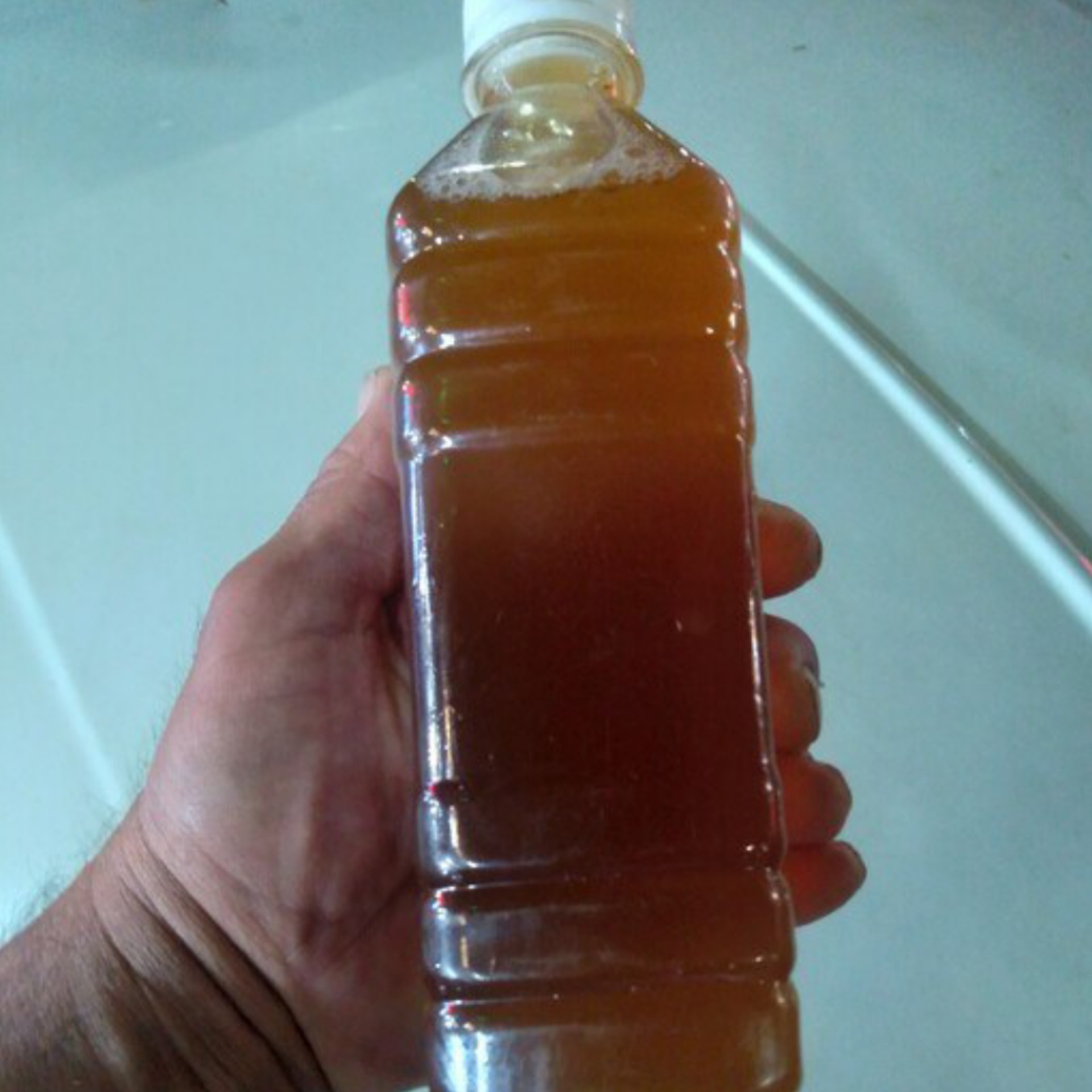 کومپوچا نیم لیتری اصل مطمئن