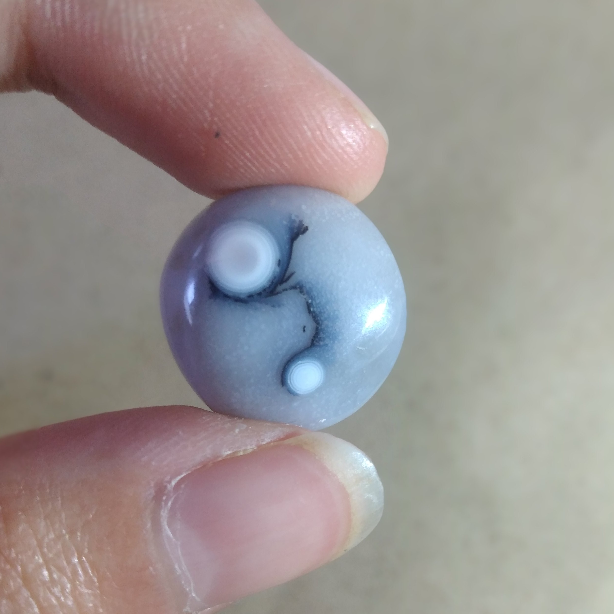 شجر مصور دارای دوچشم
زیبا و منحصربه فرد