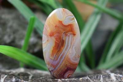 کرزی لس اگات