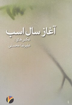 آغاز سال اسب | مرکز فرهنگی آبی
