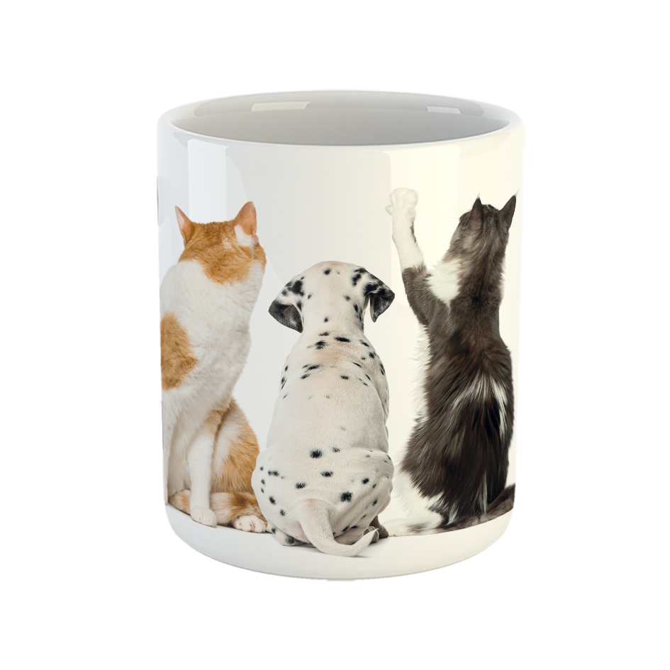 ماگ طرح سگ خالدار و گربه‌ها