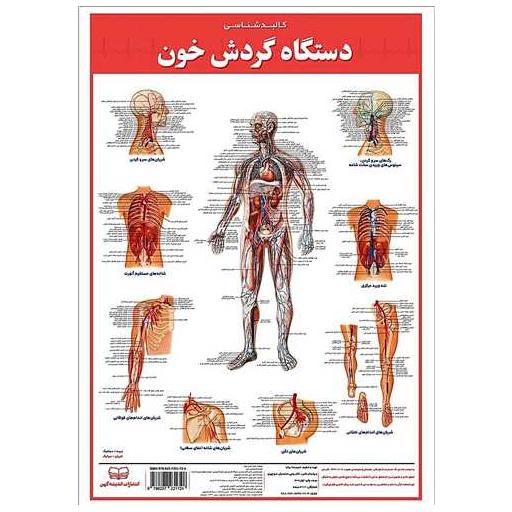 کتاب کالبد شناسی گردش خون