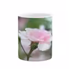 ماگ کاکتی طرح گل مدل mgs14415