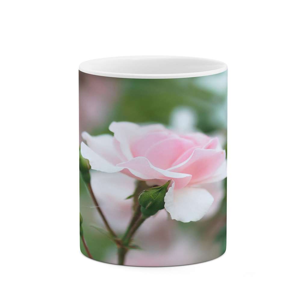 ماگ کاکتی طرح گل مدل mgs14415