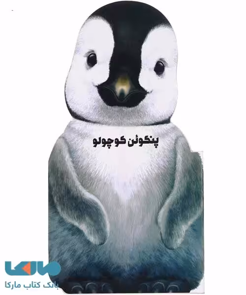 پنگوئن کوچولو گاج