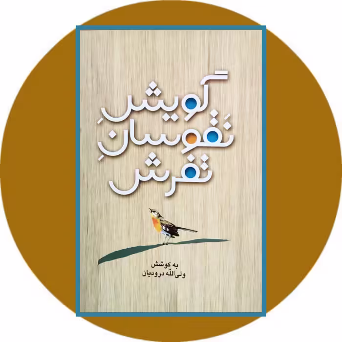 کتاب گویش نقوسان تفرش - خرید با تخفیف چهل درصد ازکتاب دایره قهوه ای