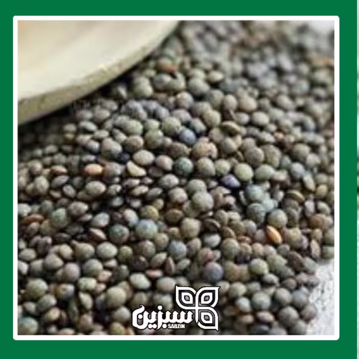 عدس کاشتنی با کیفیت بالا 300 گرمی