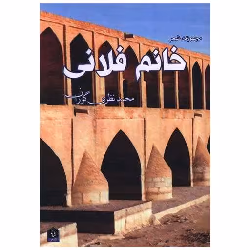 کتاب خانم فلانی اثر محمد نظری گوران