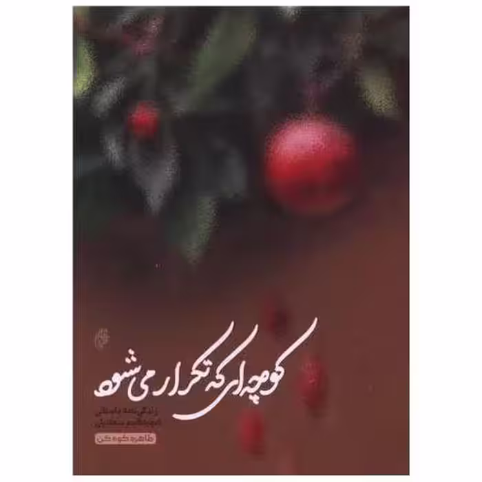کتاب کوچه ای که تکرار می شود اثر طاهره کوه کن