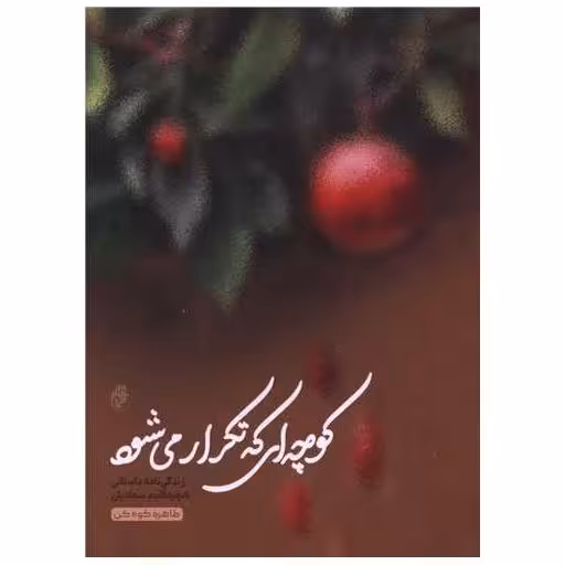 کتاب کوچه ای که تکرار می شود اثر طاهره کوه کن