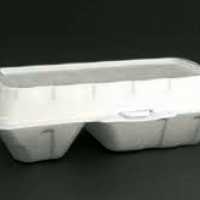 ظرف فوم دو خانه یکبار مصرف (بسته 300 تایی)