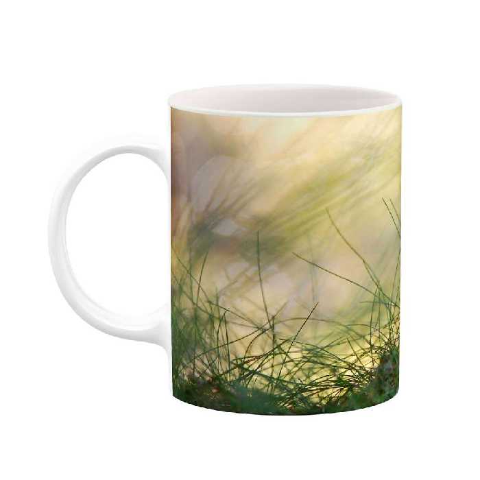 ماگ طرح قارچ مدل mgs11995