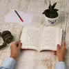 کتاب ویران می آیی اثر حسین سناپور نشر چشمه
