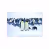 برچسب پوششی ماهوت مدل Penguin مناسب برای تبلت اپل iPad Air 2013 A1476