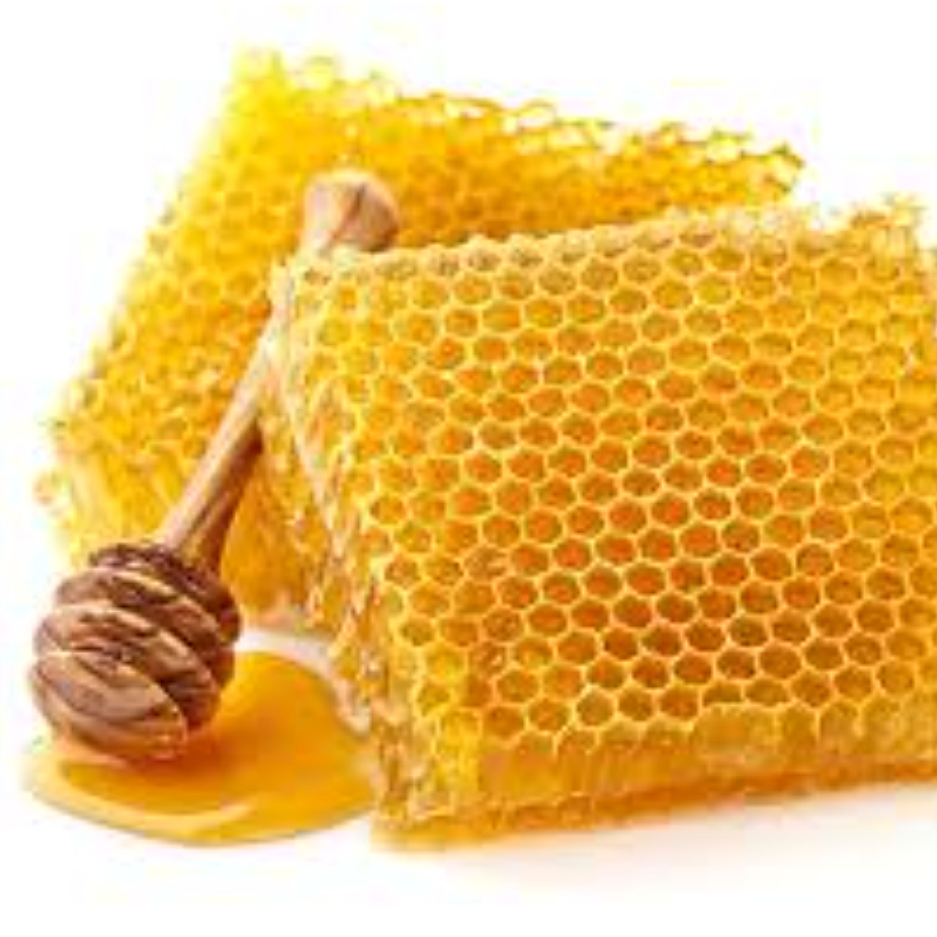 عسل موم دار  یک کیلویی