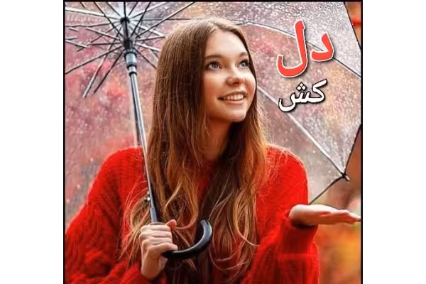 رمان دلکش - کتابخانه مجازی واتیکان