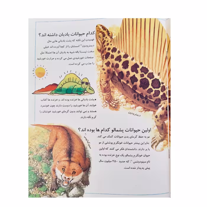 کتاب فکر می کنید چرا ما قبل تاریخ اثر جکی گاف انتشارات عروج اندیشه جلد 24