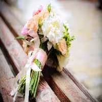 خرید و دانلود عکس Flower-Part-2 کد 17705 | پیک فاکس | Pic Fox
