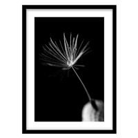 قیمت و خرید‌‌‌‌‌‌‌‌‌‌‌‌‌‌‌‌‌‌‌‌‌‌‌‌‌‌‌‌‌‌‌‌‌‌‌‌‌‌‌‌‌‌‌‌ تابلو دکوراتیو عکاسی نمای نزدیک قاصدک کد 2434