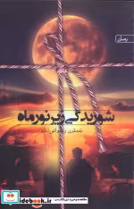 کتاب شوریدگی زیر نور ماه نشر سخن نویوپان