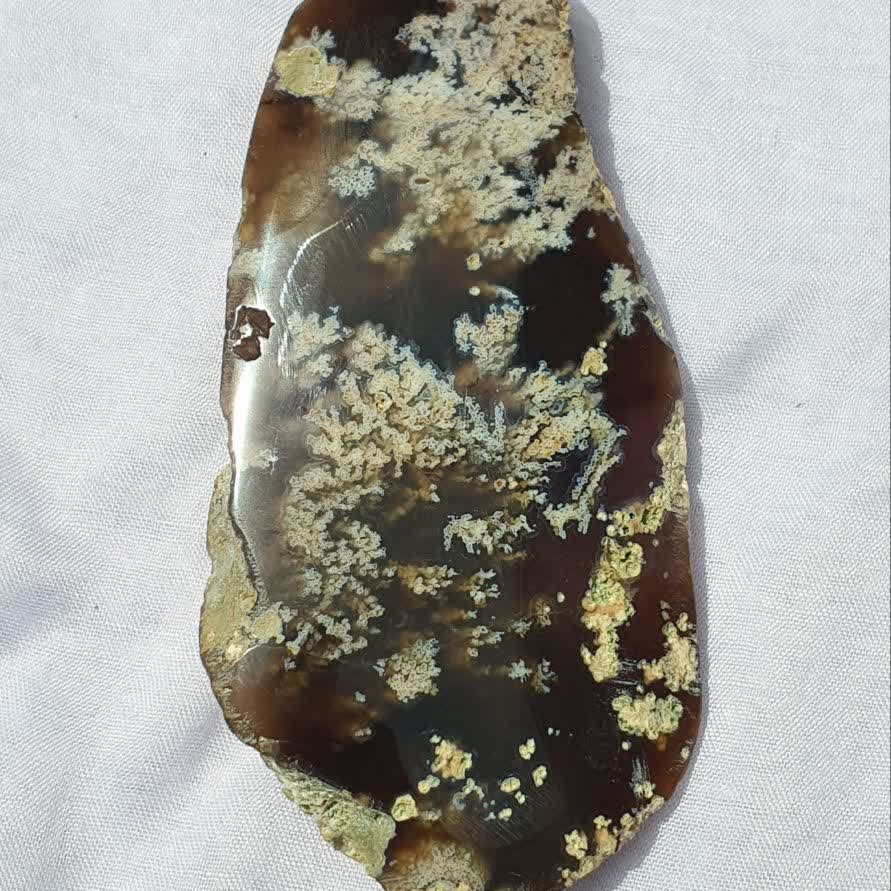 عقیق خرمایی با شجر دریایی،کلکسیونی