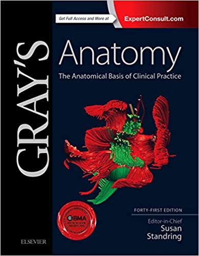  دانلود کتاب Gray'S Anatomy. The Anatomical Basis Of Clinical Practice. Part 2, 2015 - دانلود کتاب های دانشگاهی