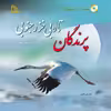 کتاب پرندگان تالابی خزر جنوبی اثر عاطفه عنبرسوز انتشارات طلایه