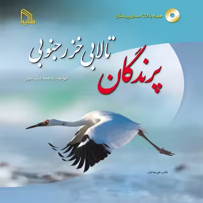 کتاب پرندگان تالابی خزر جنوبی اثر عاطفه عنبرسوز انتشارات طلایه