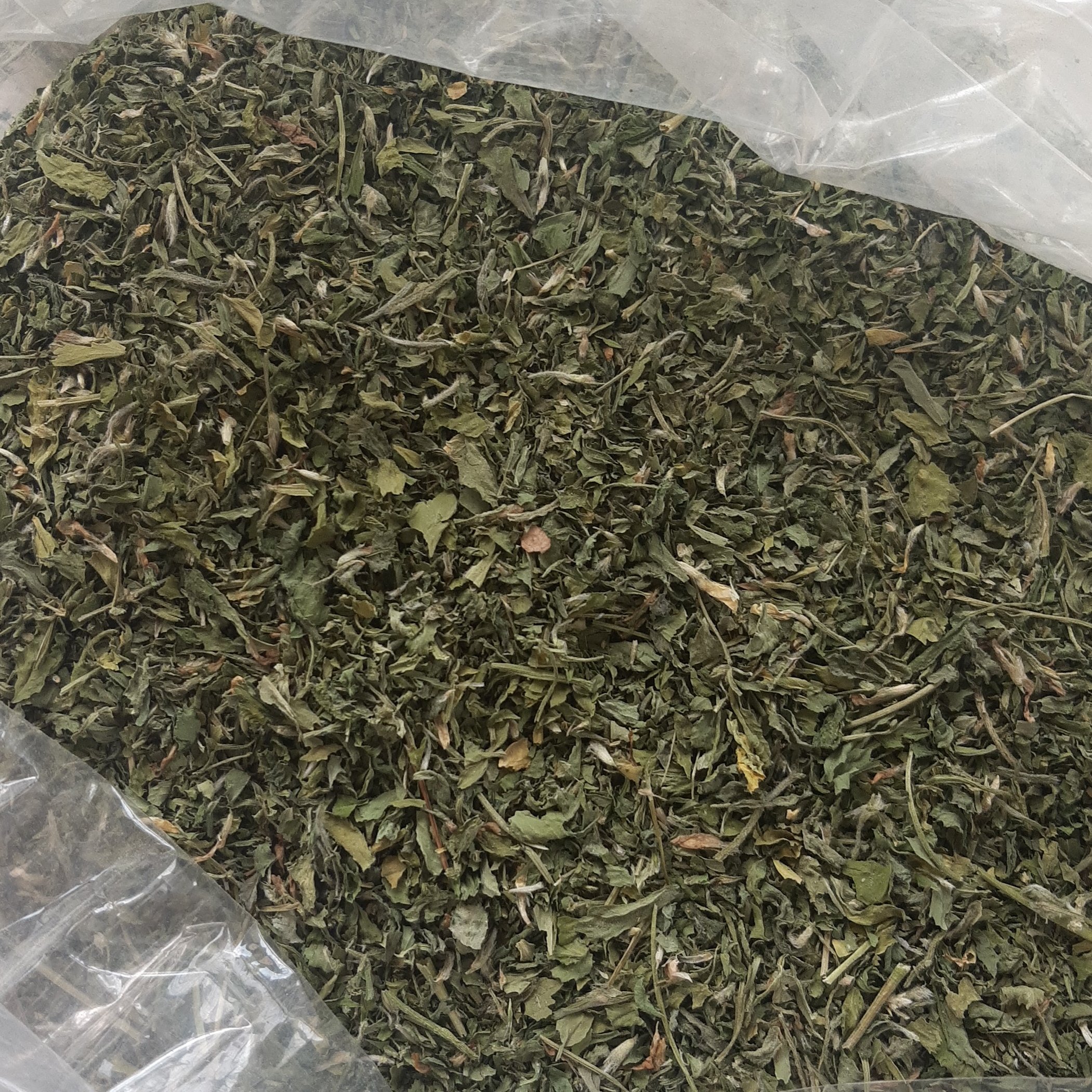 برگ نعنا خشک یک کیلویی