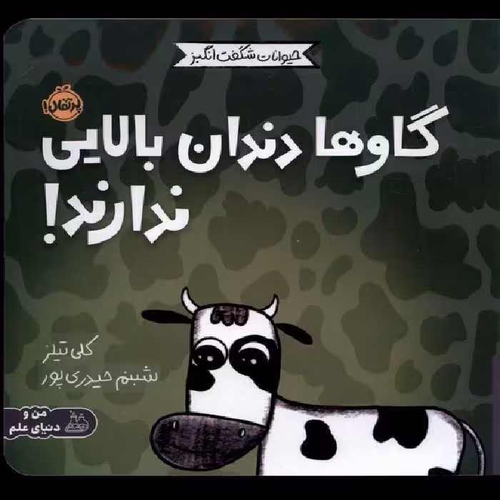 کتاب حیوانات شگفت انگیز گاوها دندان بالایی ندارند پرتقال