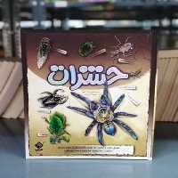 حشرات (سه بعدی) | نشر چشمه رشت