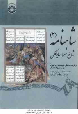 شاهنامه 2 ( سجاد آیدنلو ) شاخ سرو سایه فکن – کد 1913