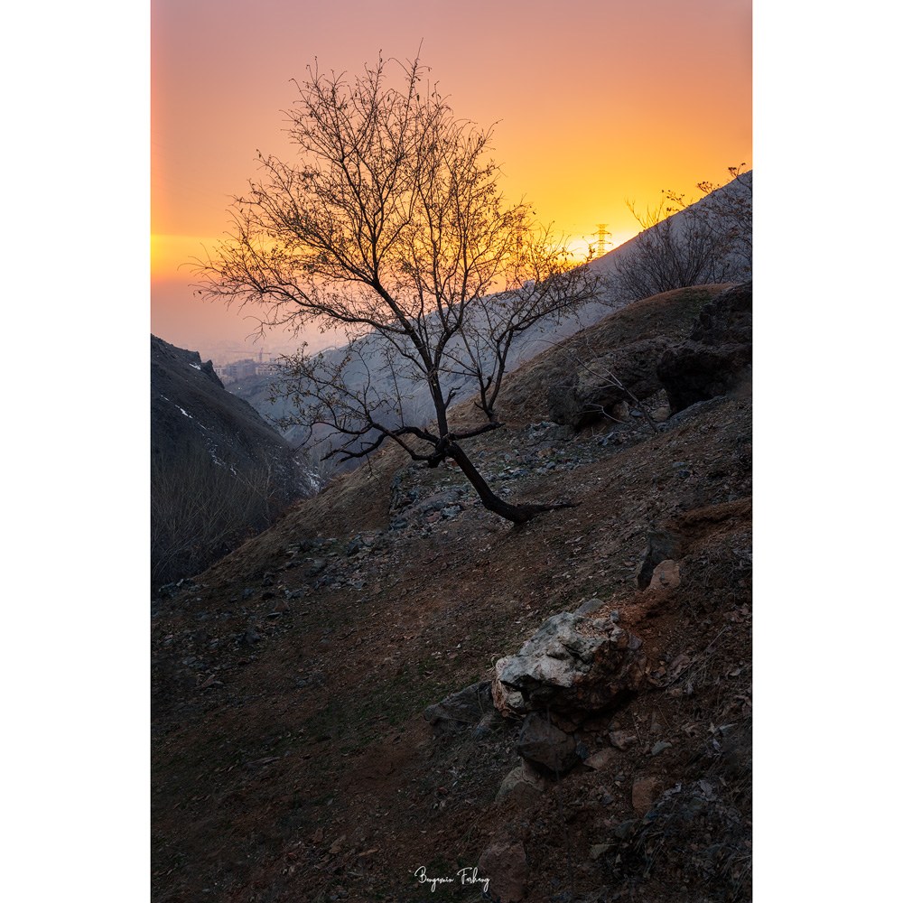 تابلو شاسی کد benpics-0115 (ابعاد 40x60 - شاسی 8 میل-کاغذ سیلک-اصالت تصویر)