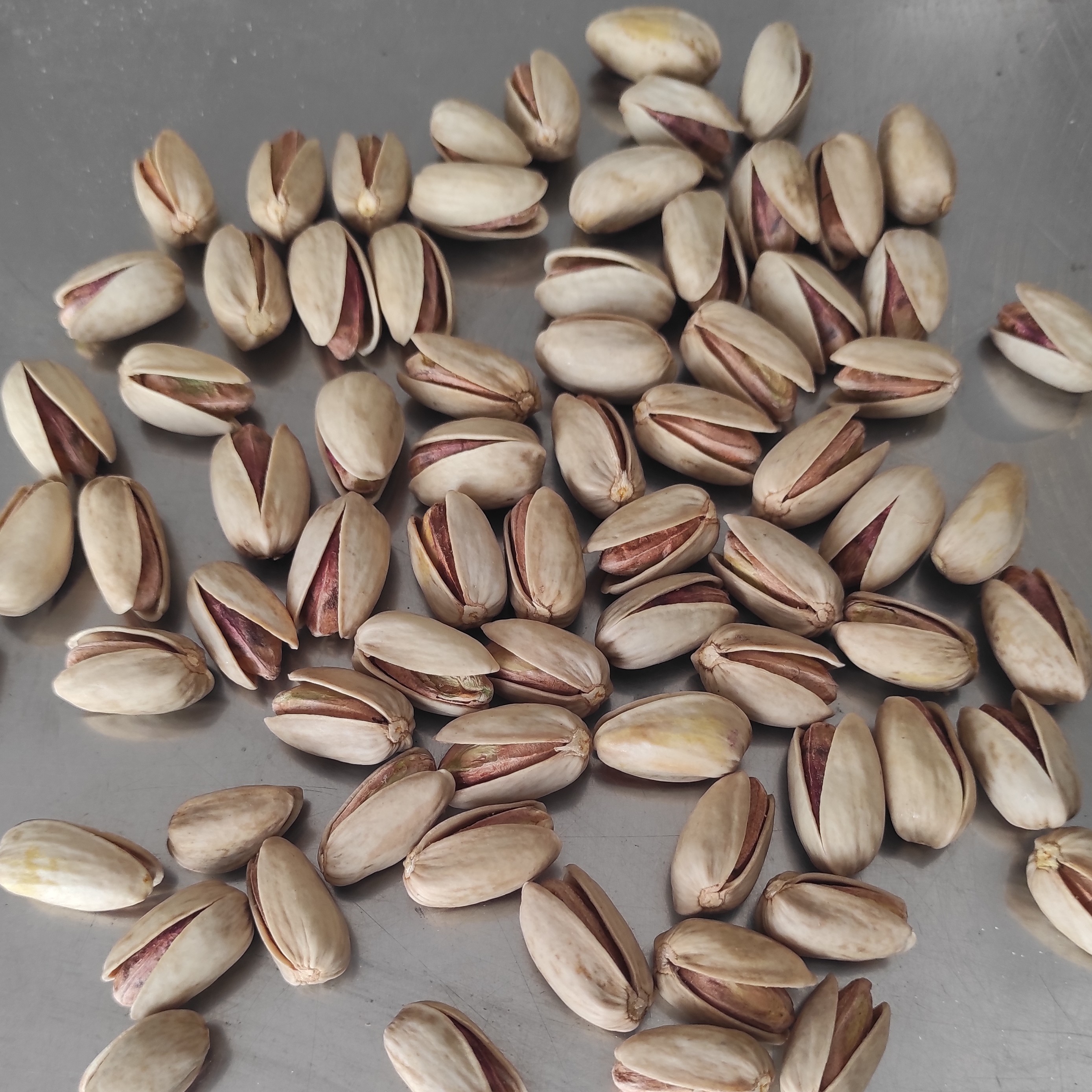 اکبری دستچین رفسنجان