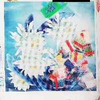 نقاشی باالماس طرح نیلوفر سفید